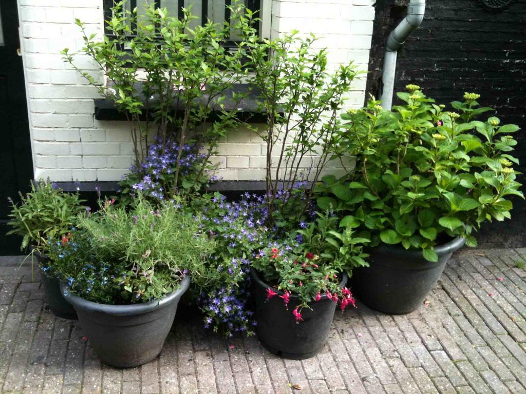 The Warehouse Bed & Breakfast Amsterdam Dış mekan fotoğraf